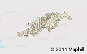 Shaded Relief Panoramic Map of Canta, single color outside