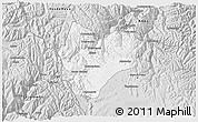 Silver Style 3D Map of Daniel Carrion