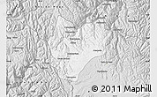 Silver Style Map of Daniel Carrion