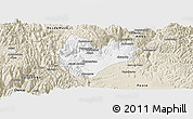 Classic Style Panoramic Map of Daniel Carrion