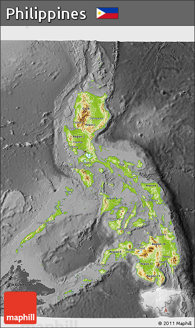 Physical 3D Map of Philippines, darken, desaturated
