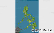 Satellite 3D Map of Philippines, desaturated, land only