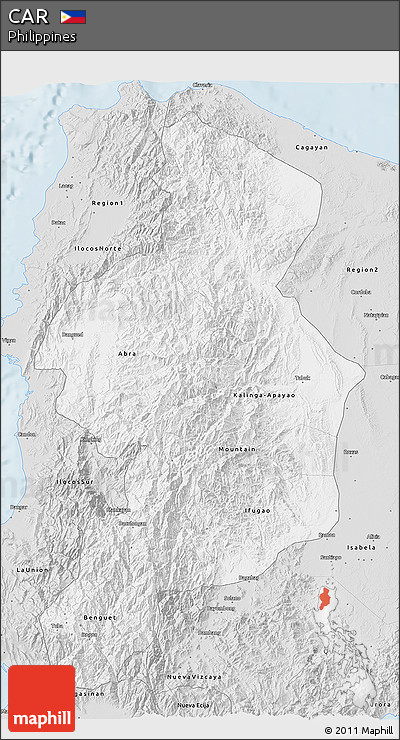 Silver Style 3D Map of CAR