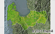 Satellite Map of Pangasinan, semi-desaturated