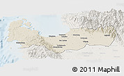 Shaded Relief Panoramic Map of Pangasinan, lighten