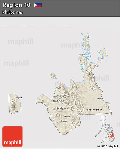 Shaded Relief 3D Map of Region 10, cropped outside