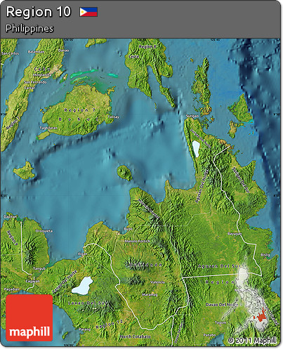 Satellite Map of Region 10