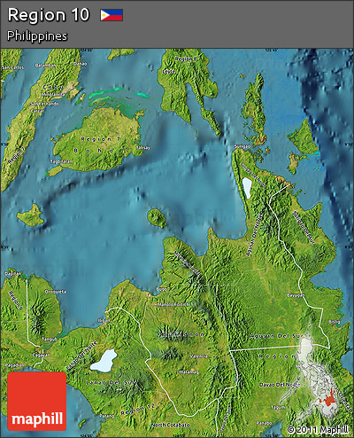Satellite Map of Region 10