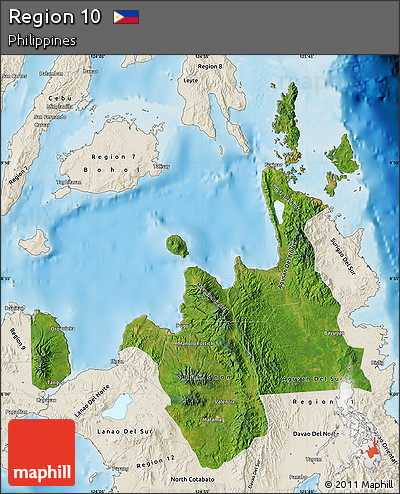Satellite Map of Region 10, shaded relief outside