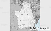 Gray Map of Nueva Ecija