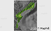Satellite 3D Map of Aurora, desaturated