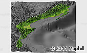 Satellite Panoramic Map of Aurora, desaturated