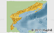Savanna Style Panoramic Map of Aurora, single color outside