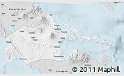Silver Style 3D Map of Albay