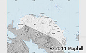 Gray Map of Camarines Norte