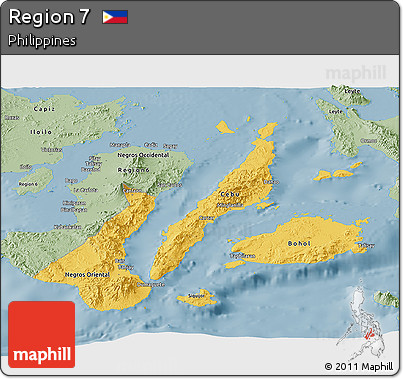 Savanna Style Panoramic Map of Region 7