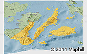 Savanna Style Panoramic Map of Region 7