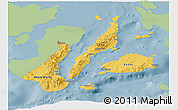 Savanna Style Panoramic Map of Region 7, single color outside