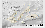 Shaded Relief Panoramic Map of Region 7, desaturated