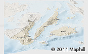 Shaded Relief Panoramic Map of Region 7, lighten