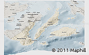 Shaded Relief Panoramic Map of Region 7, semi-desaturated