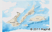 Shaded Relief Panoramic Map of Region 7, single color outside