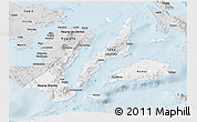 Silver Style Panoramic Map of Region 7