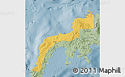 Savanna Style Map of Zamboanga Del Norte