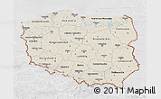 Shaded Relief 3D Map of Poland, lighten, desaturated