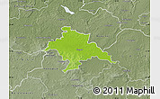 Physical Map of Glogow, semi-desaturated