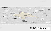 Shaded Relief Panoramic Map of Glogow, desaturated