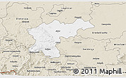 Classic Style 3D Map of Jawor