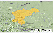 Savanna Style 3D Map of Jawor
