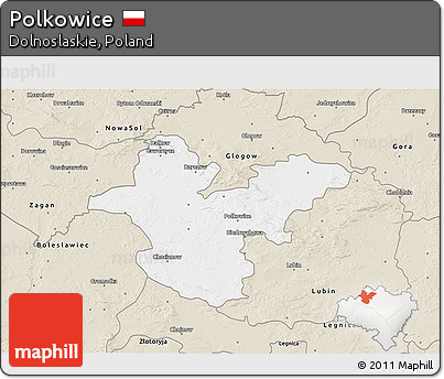 Classic Style 3D Map of Polkowice