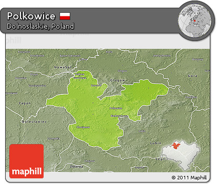 Physical 3D Map of Polkowice, semi-desaturated