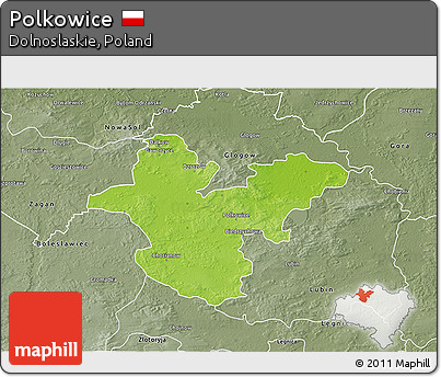 Physical 3D Map of Polkowice, semi-desaturated