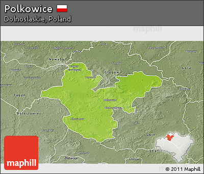 Physical 3D Map of Polkowice, semi-desaturated