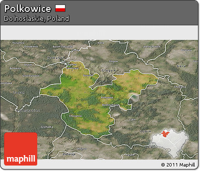 Satellite 3D Map of Polkowice, semi-desaturated