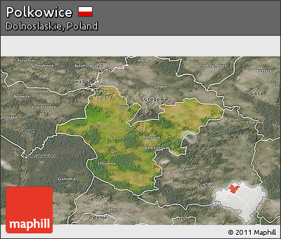 Satellite 3D Map of Polkowice, semi-desaturated