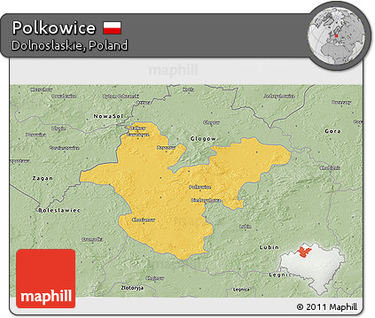 Savanna Style 3D Map of Polkowice