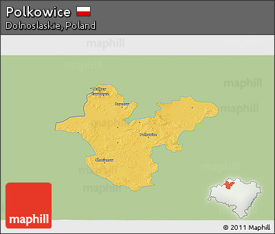 Savanna Style 3D Map of Polkowice, single color outside
