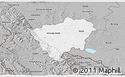 Gray 3D Map of Zabkowice Slaskie