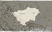 Shaded Relief 3D Map of Zabkowice Slaskie, darken