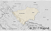 Shaded Relief 3D Map of Zabkowice Slaskie, desaturated