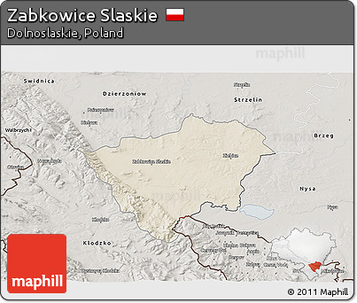 Shaded Relief 3D Map of Zabkowice Slaskie, semi-desaturated