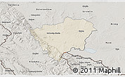 Shaded Relief 3D Map of Zabkowice Slaskie, semi-desaturated