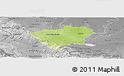 Physical Panoramic Map of Zabkowice Slaskie, desaturated