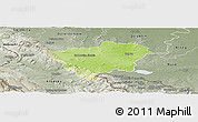 Physical Panoramic Map of Zabkowice Slaskie, semi-desaturated