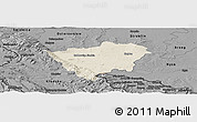 Shaded Relief Panoramic Map of Zabkowice Slaskie, darken, desaturated