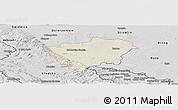 Shaded Relief Panoramic Map of Zabkowice Slaskie, desaturated